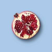 004 Pomegranate Bio