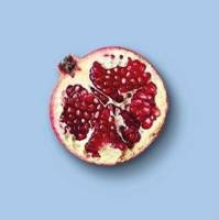 Pomegranate Bio 004