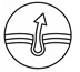 Oczyszczanie gruczołów jołowych