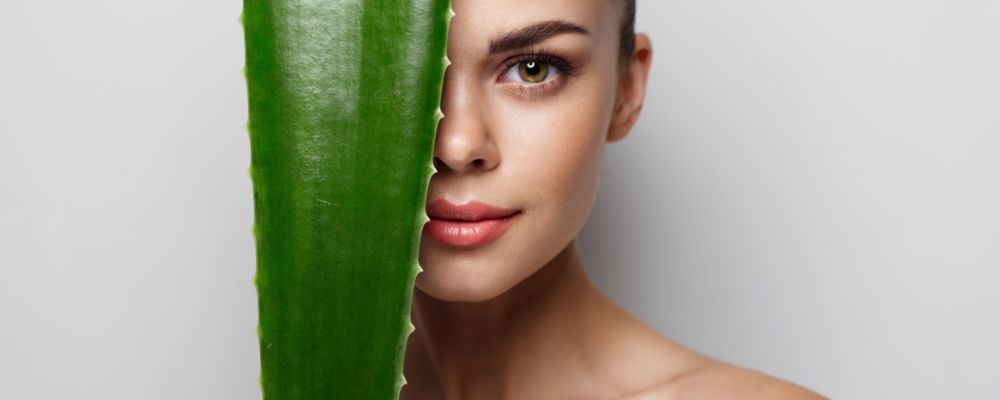 Aloes na włosy – jak stosować i co daje jego regularne używanie