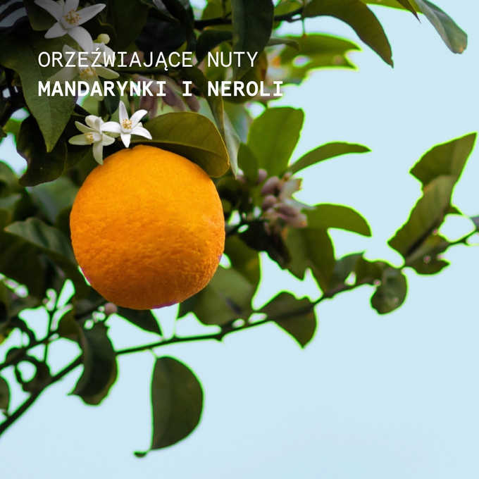 Korres Krem do rąk o zapachu Mandarynki i Neroli, 50 ml