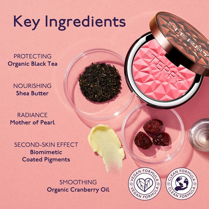 BY TERRY Pielęgnacyjny róż Tea To Tan Powder Blush N5 - Brick Beach, 7 g