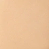 23N Warm Beige