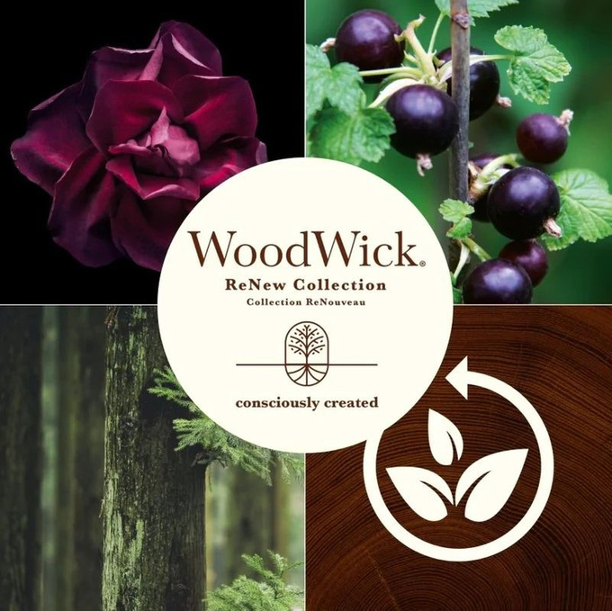 Woodwick RENEW - BLACK CURRANT & ROSE - świeca duża 368 g