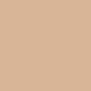 303 Porcelain Beige