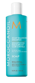 MoroccanoilMaster Scalp Balancing Shampoo, szampon przywracający równowagę skórze głowy, 250 ml