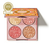 BY TERRY Paleta rozświetlaczy i róży Brightening CC Palette Sunny Flash