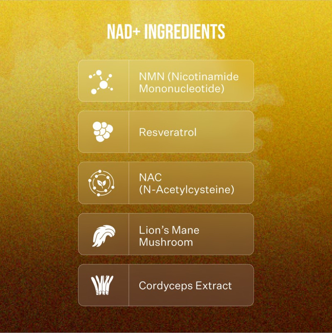 What's That Patch NAD+ LONGEVITY plasterki transdermalne, 30 szt