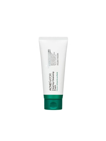 Holika Holika Acnenator Clearing Cleansing Foam - Oczyszczająca pianka do mycia twarzy, 150 ml