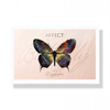 Affect Paleta do makijażu Butterfly Makeup Butterfly