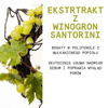 Korres Santorini Grape krem do twarzy zmniejszający widoczność porów