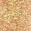 005 Gold Pineapple