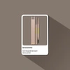 02 Neutral Brown